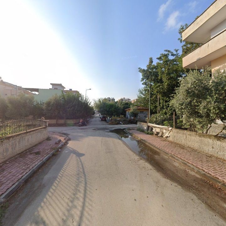 Fotoğraf 6