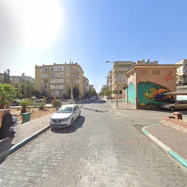 Fotoğraf 10