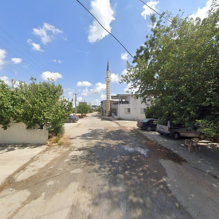 Fotoğraf 3