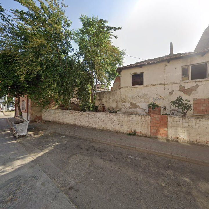 Fotoğraf 15