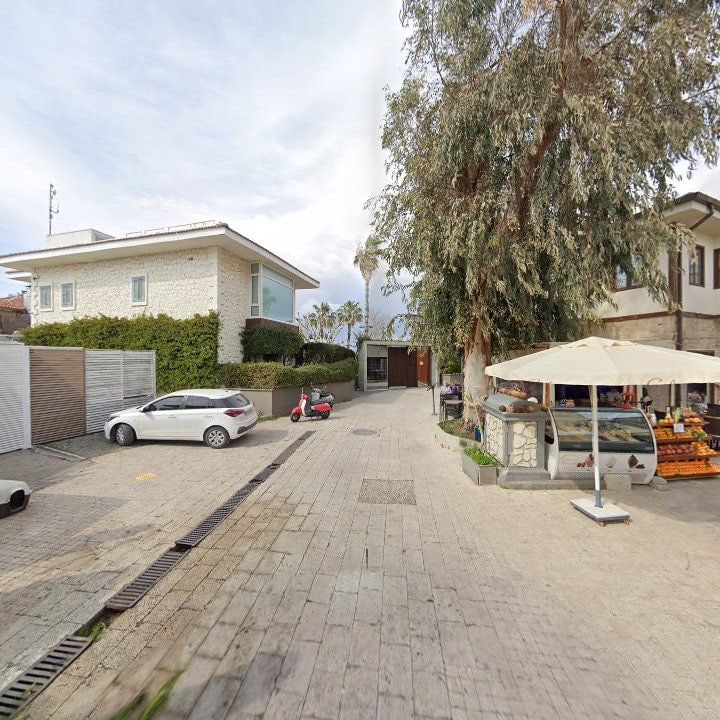 Fotoğraf 11