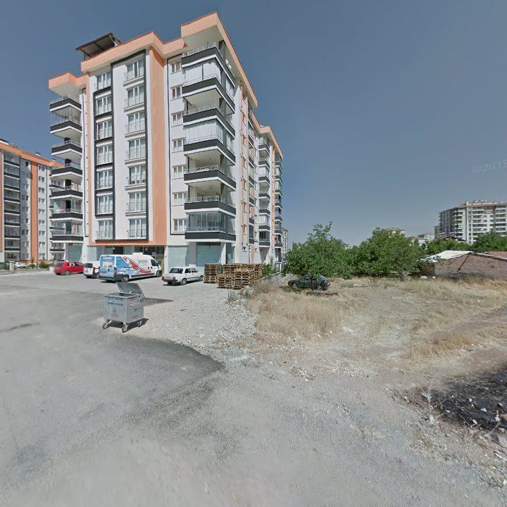 Fotoğraf 10