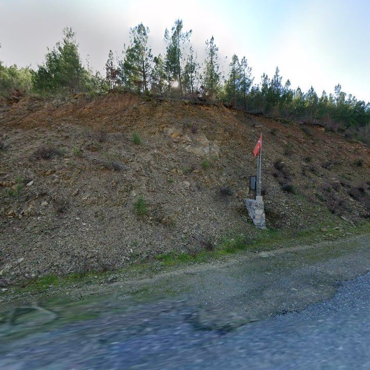 Fotoğraf 9