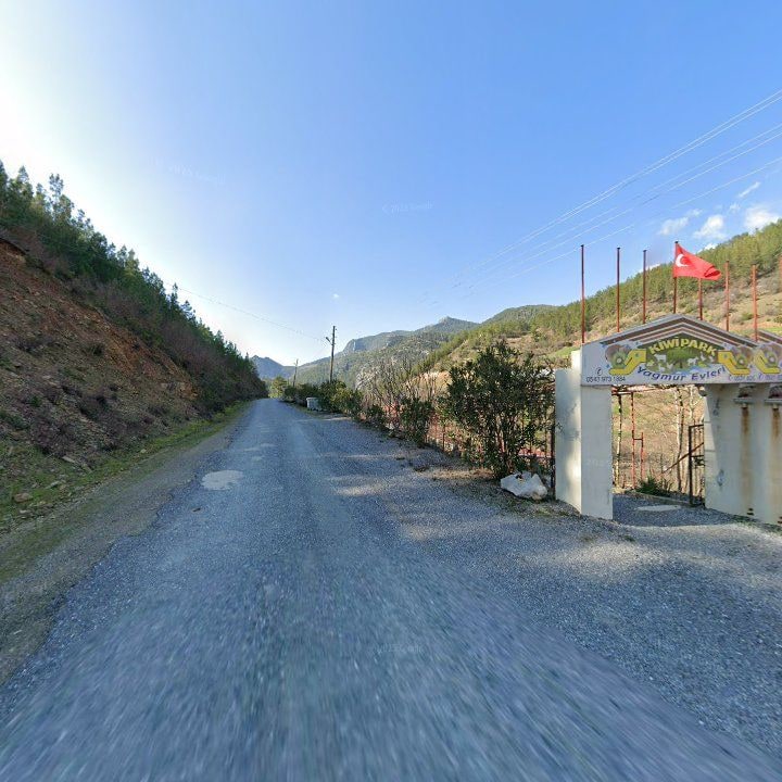 Fotoğraf 6