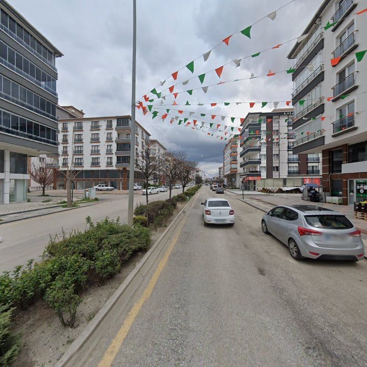 Fotoğraf 7