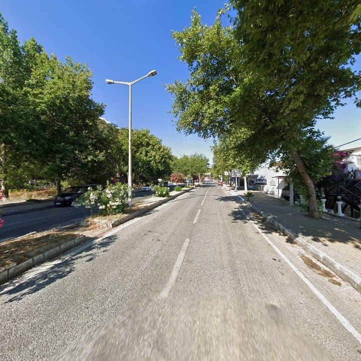 Fotoğraf 12