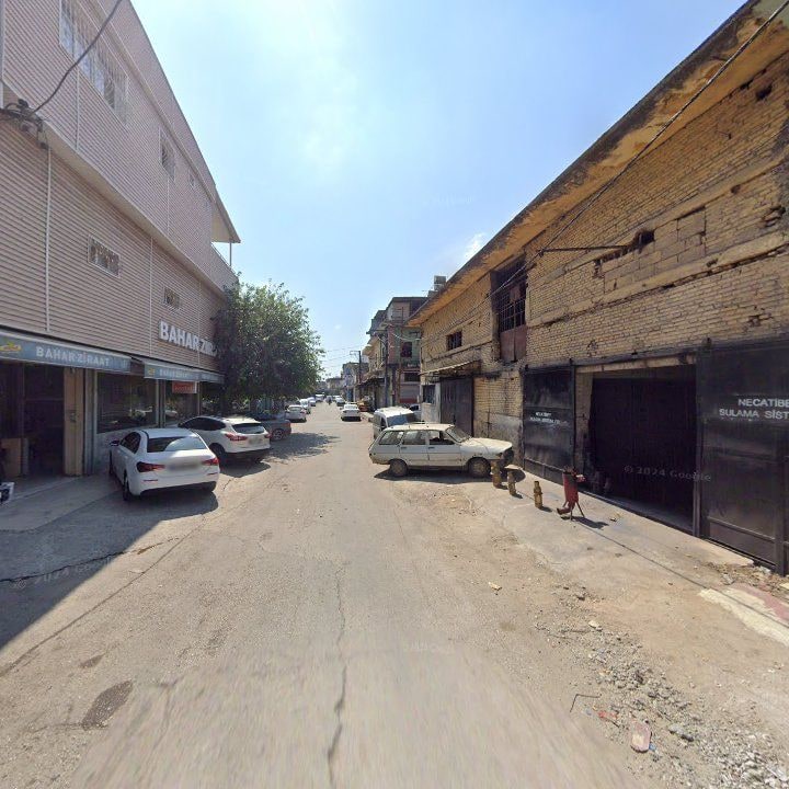 Fotoğraf 6