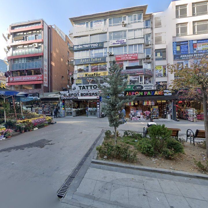 Kızılay Hosta