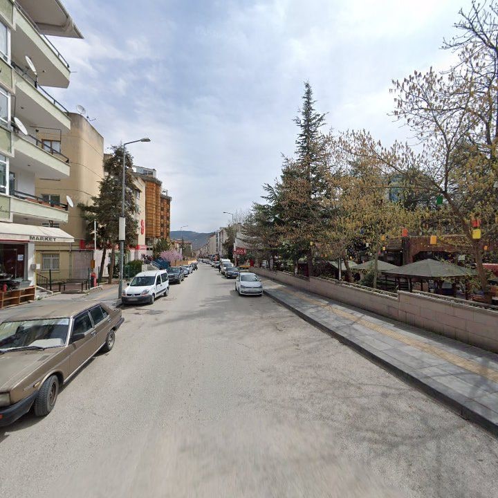 Fotoğraf 12