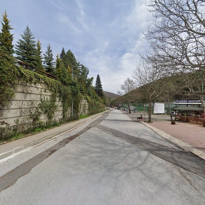Fotoğraf 12