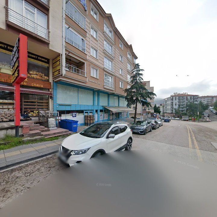Fotoğraf 9