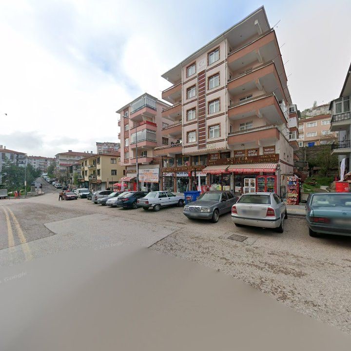 Fotoğraf 10
