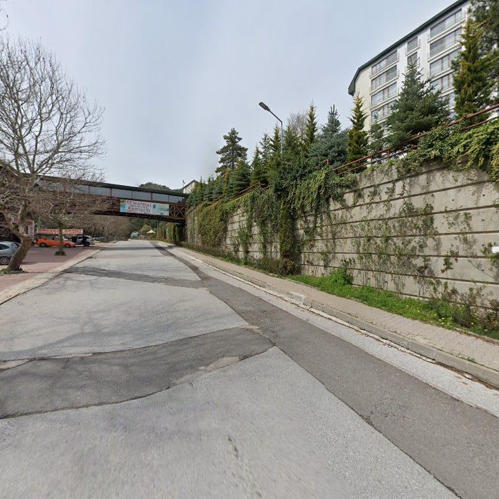 Fotoğraf 12