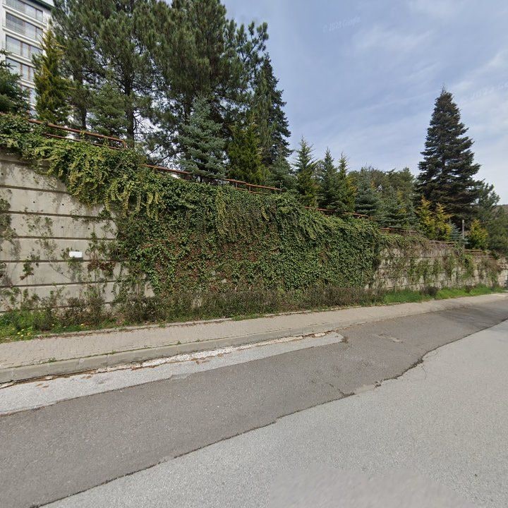 Fotoğraf 13