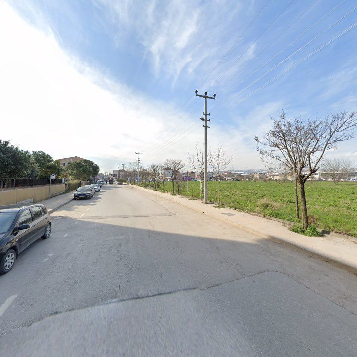 Fotoğraf 10
