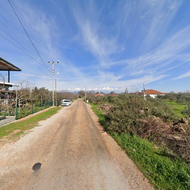 Fotoğraf 6