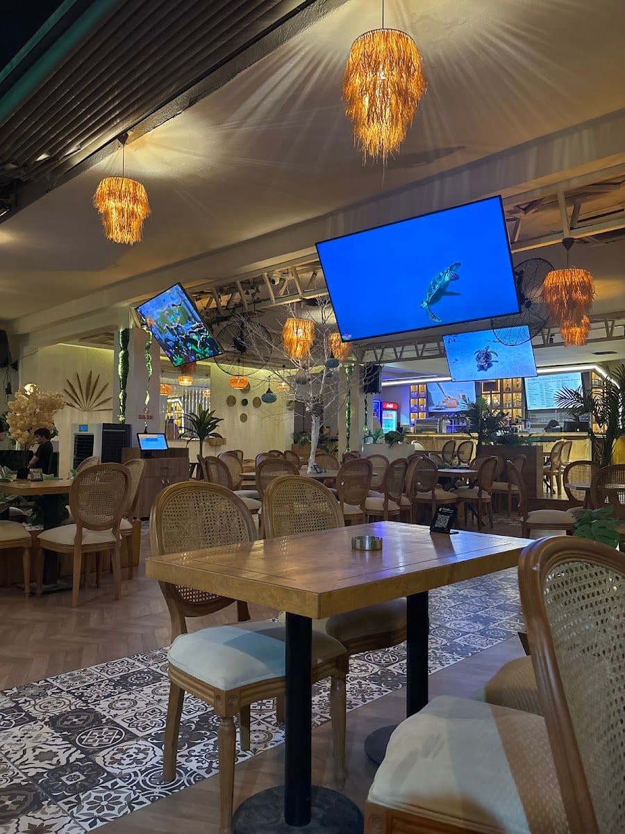 Koala Terrace Coffee-Lounge