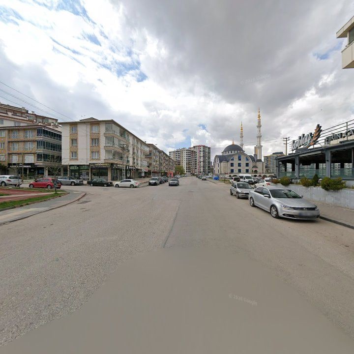 Fotoğraf 6