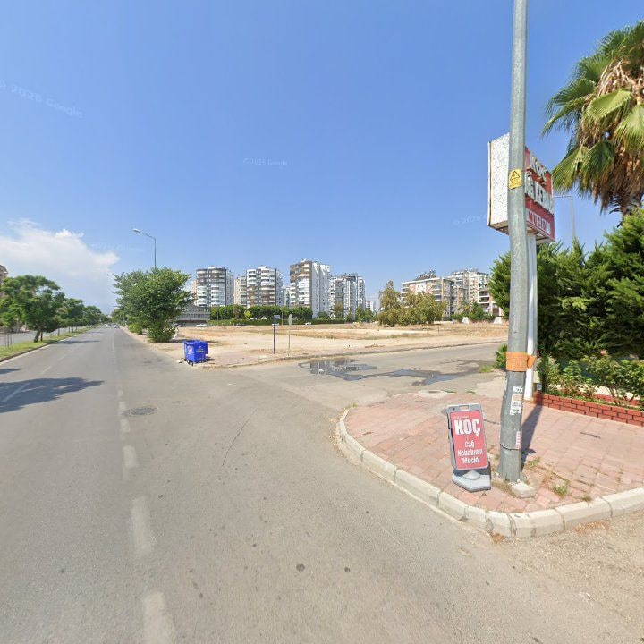 Fotoğraf 12