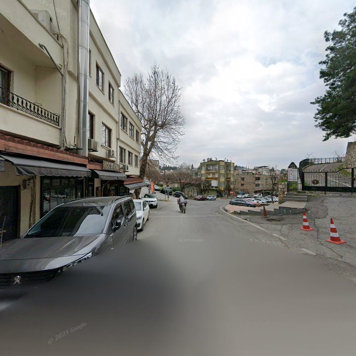 Fotoğraf 10