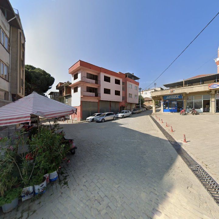 Fotoğraf 5