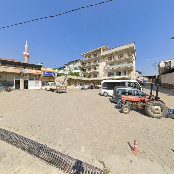 Fotoğraf 6