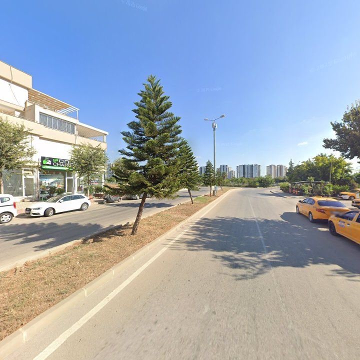 Fotoğraf 7