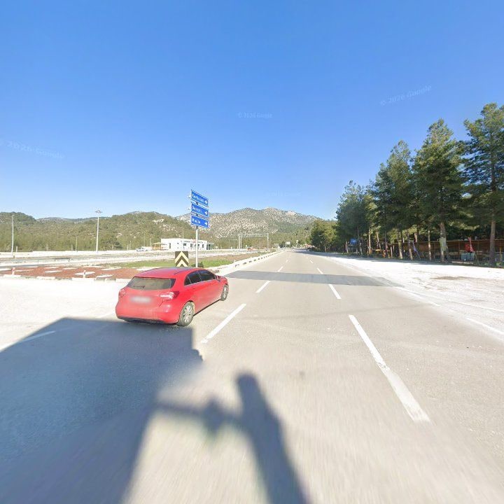 Fotoğraf 11