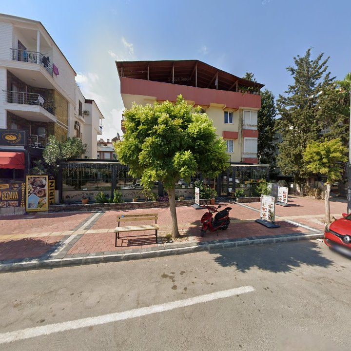 Fotoğraf 13