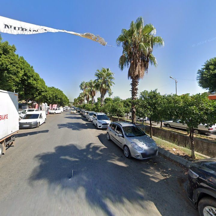 Fotoğraf 6