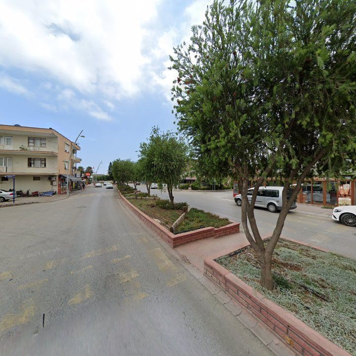 Fotoğraf 7