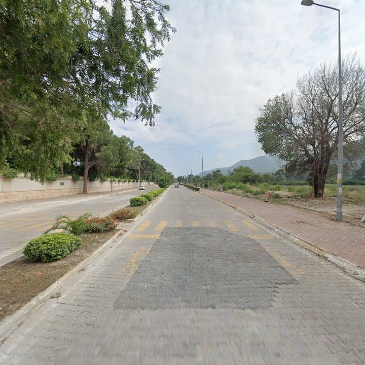 Fotoğraf 12