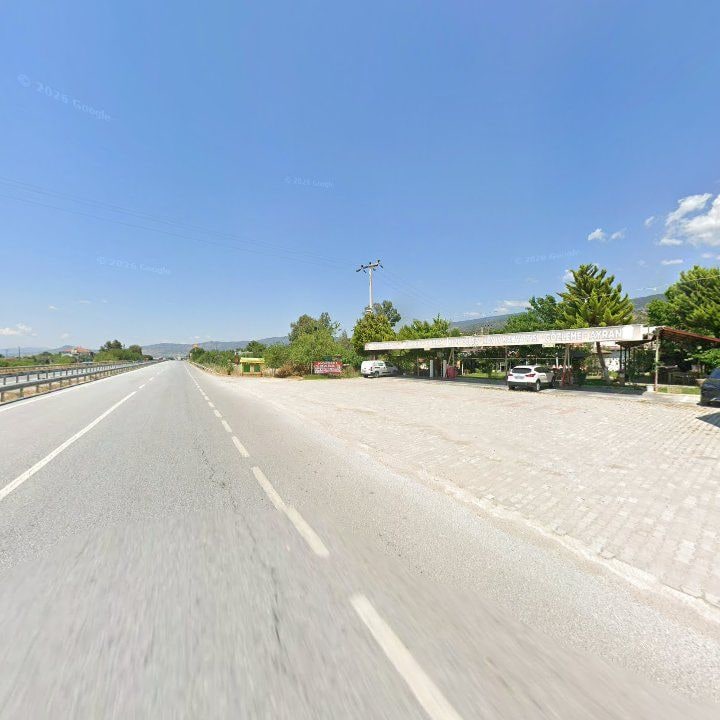 Fotoğraf 8