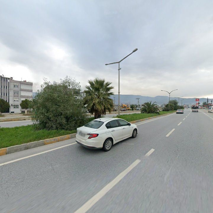 Fotoğraf 11