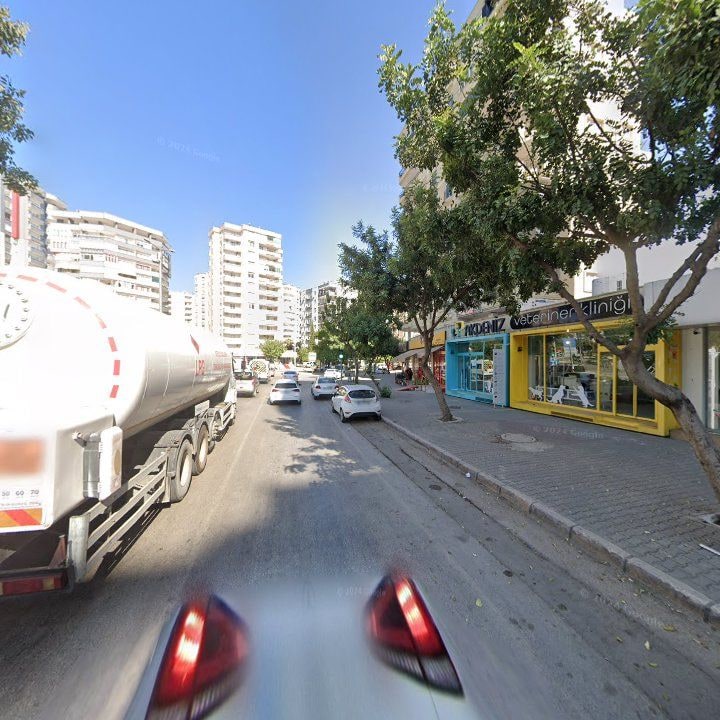 Fotoğraf 9