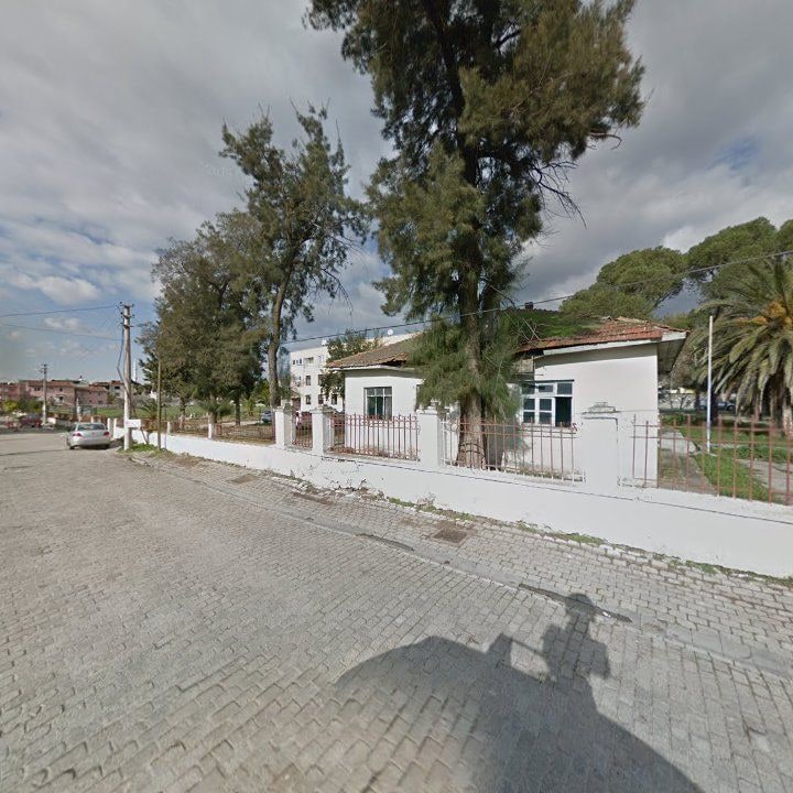 Fotoğraf 12