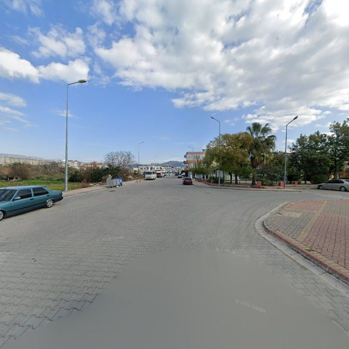 Fotoğraf 12