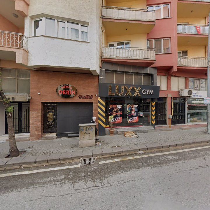Fotoğraf 11