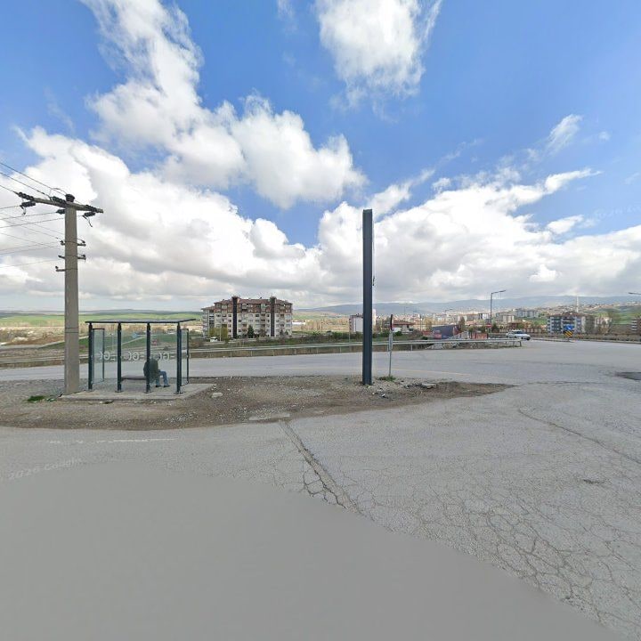 Fotoğraf 8