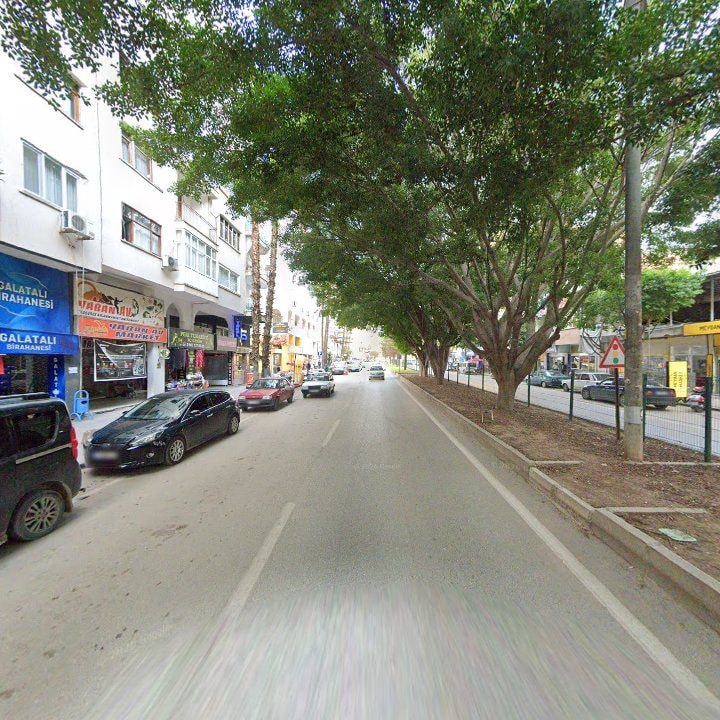 Fotoğraf 6