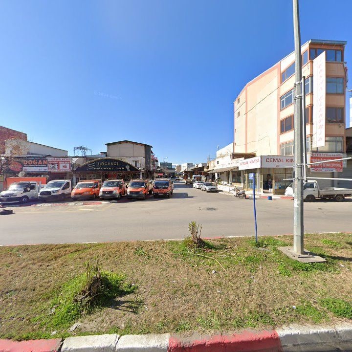 Fotoğraf 10