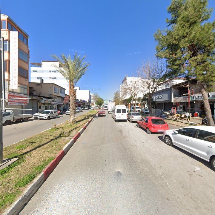 Fotoğraf 11