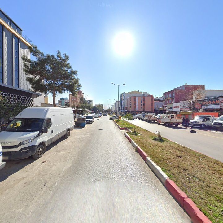 Fotoğraf 9