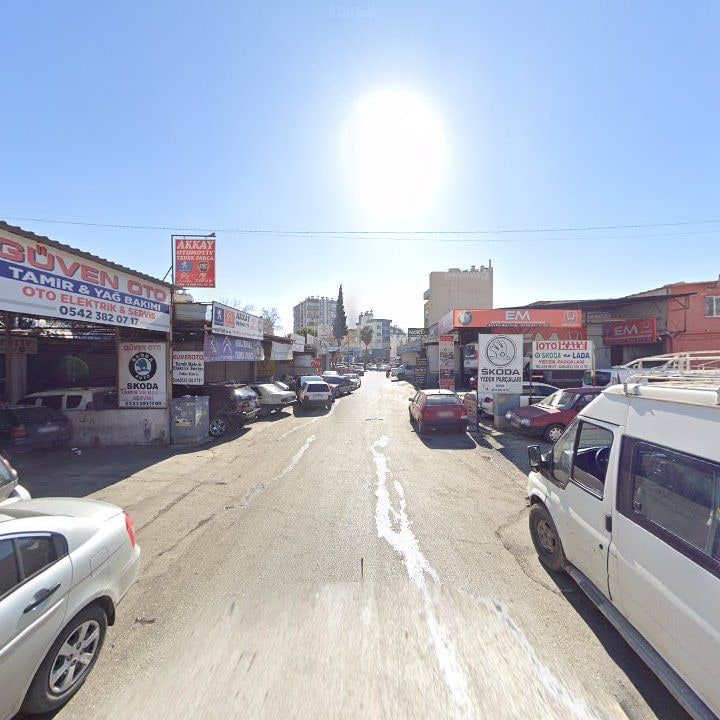 Fotoğraf 6