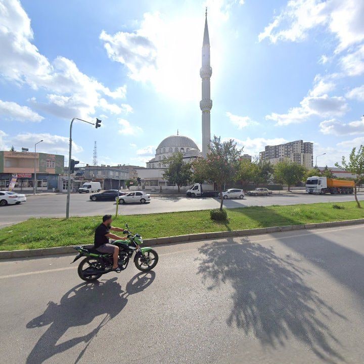 Fotoğraf 4