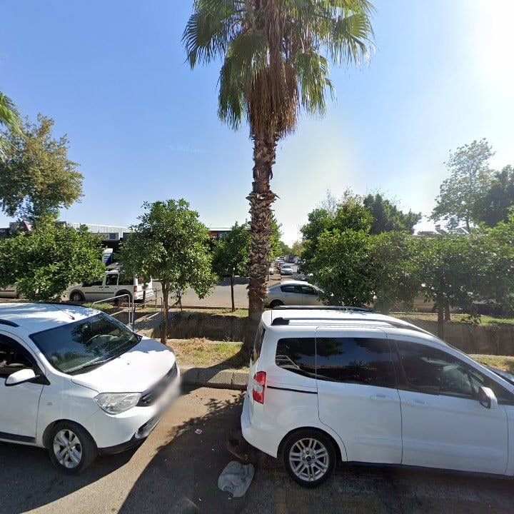 Fotoğraf 6