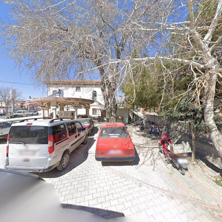 Fotoğraf 10