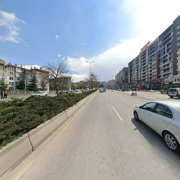 Fotoğraf 10