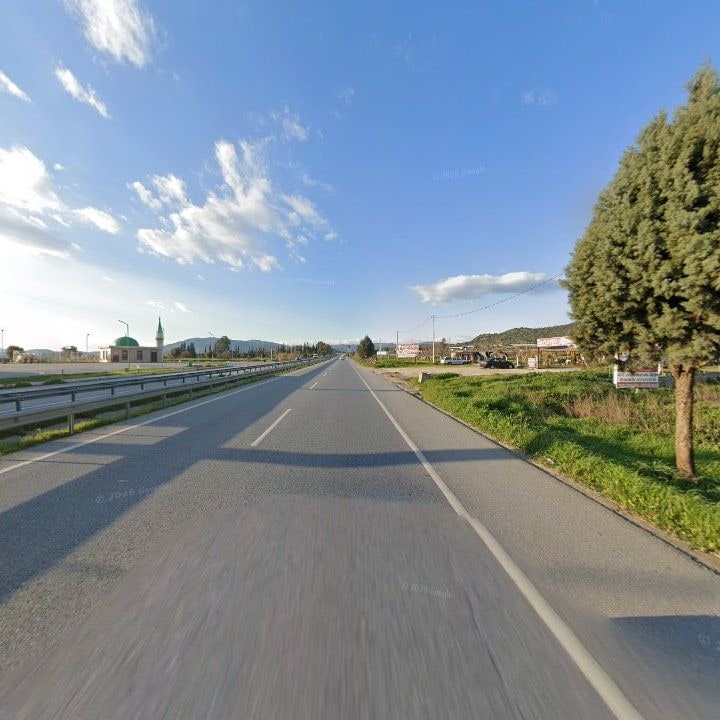 Fotoğraf 10