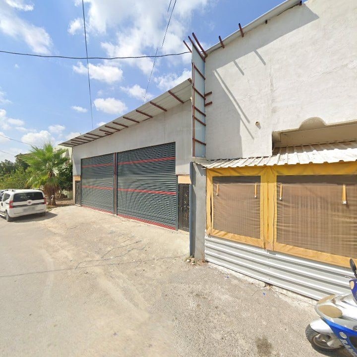 Fotoğraf 8